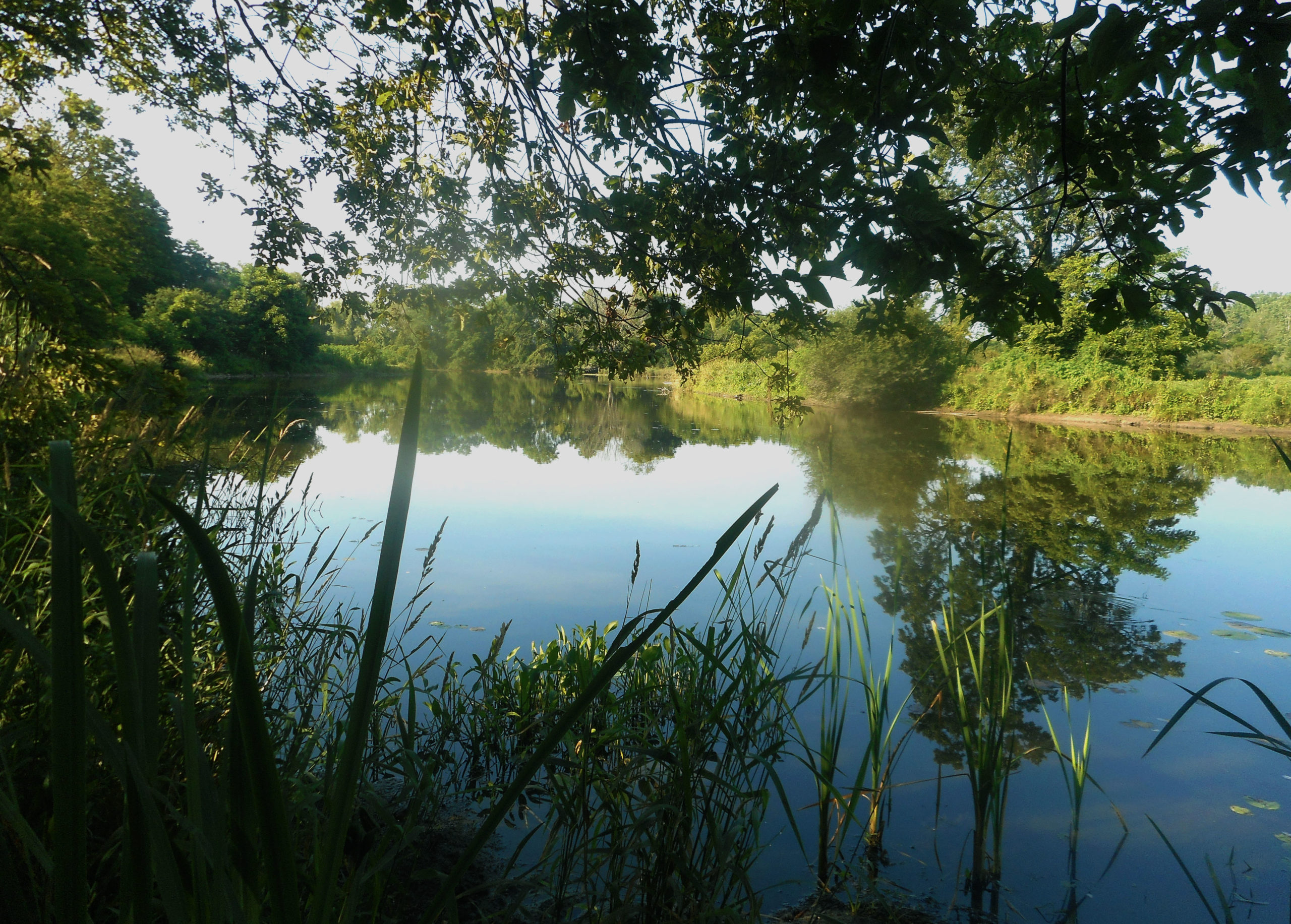 Hub of Ontario Trails/Grand River