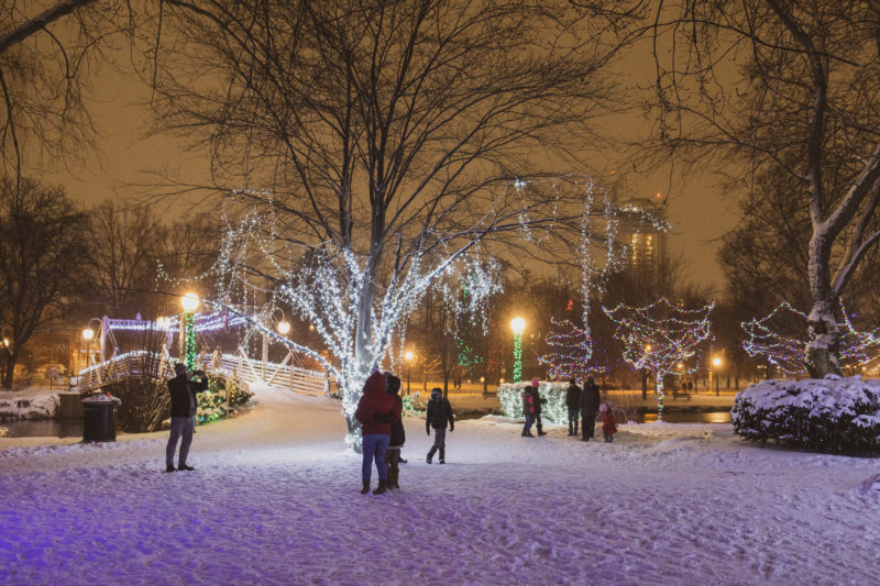 people observing the light installations on a winter's night in Victoria Park in Kitchener