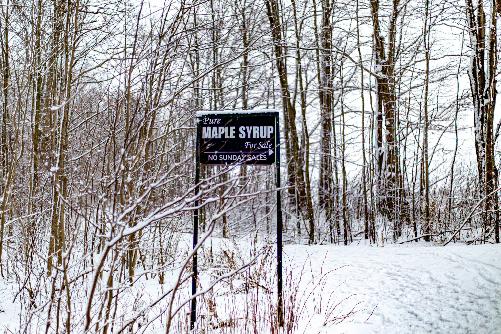 3 Maple Syrup Staycation Ideas Explore Waterloo Region