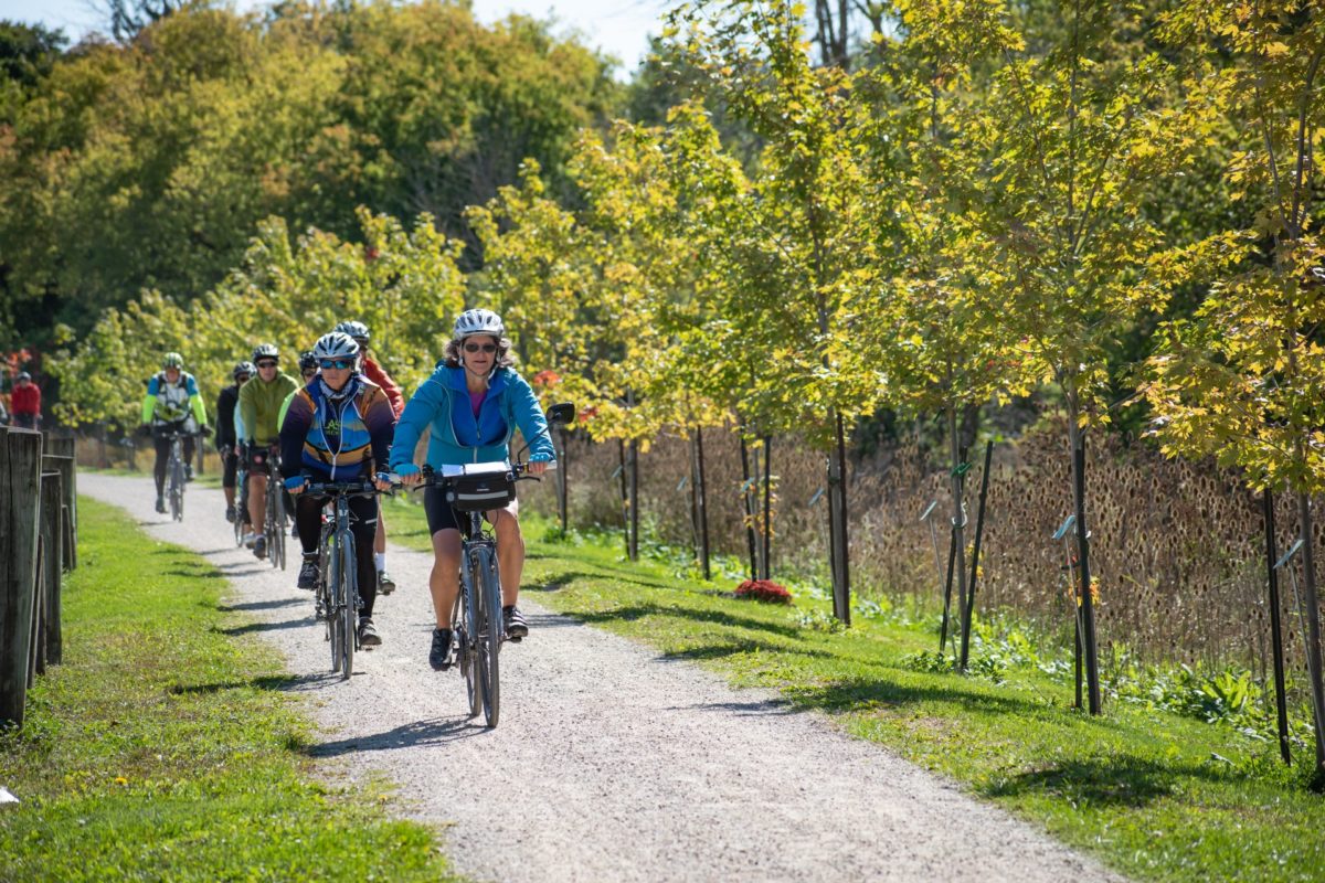 a group of cyclists biking single file on a paved trail in Waterloo: the sun is shining and the trees along the trail are just starting to change colour