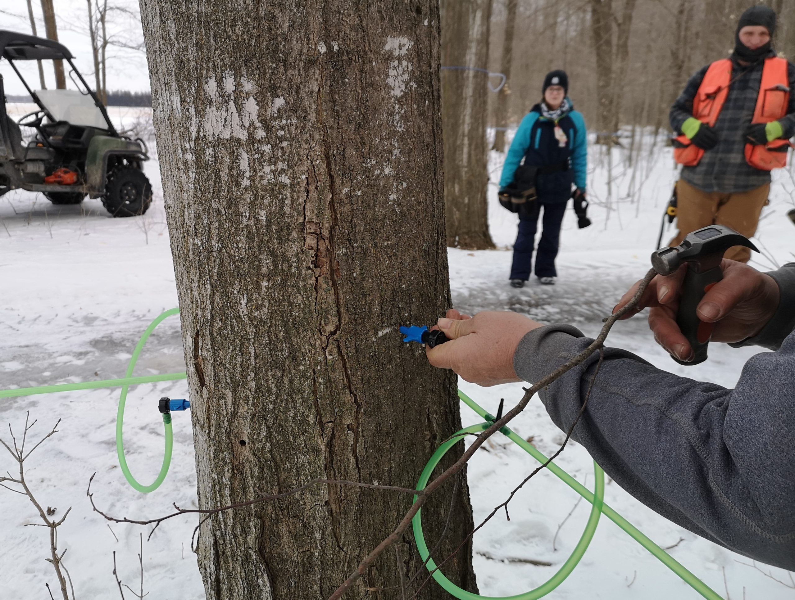 Maple Syrup 101 Tapping into the season at Snyder Heritage Farms