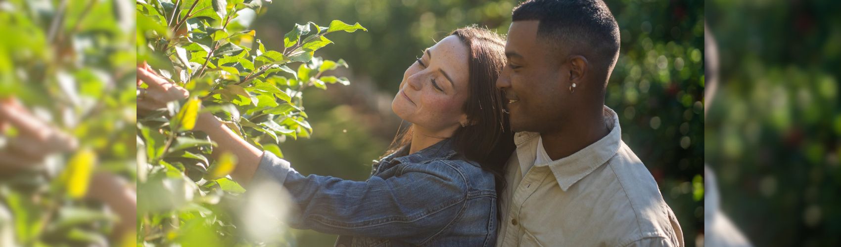 A close up of a couple in the orchard at Shuh Orchards in springtime. The sun is shining, and the couple is smiling and admiring the green leaves on the apples trees.