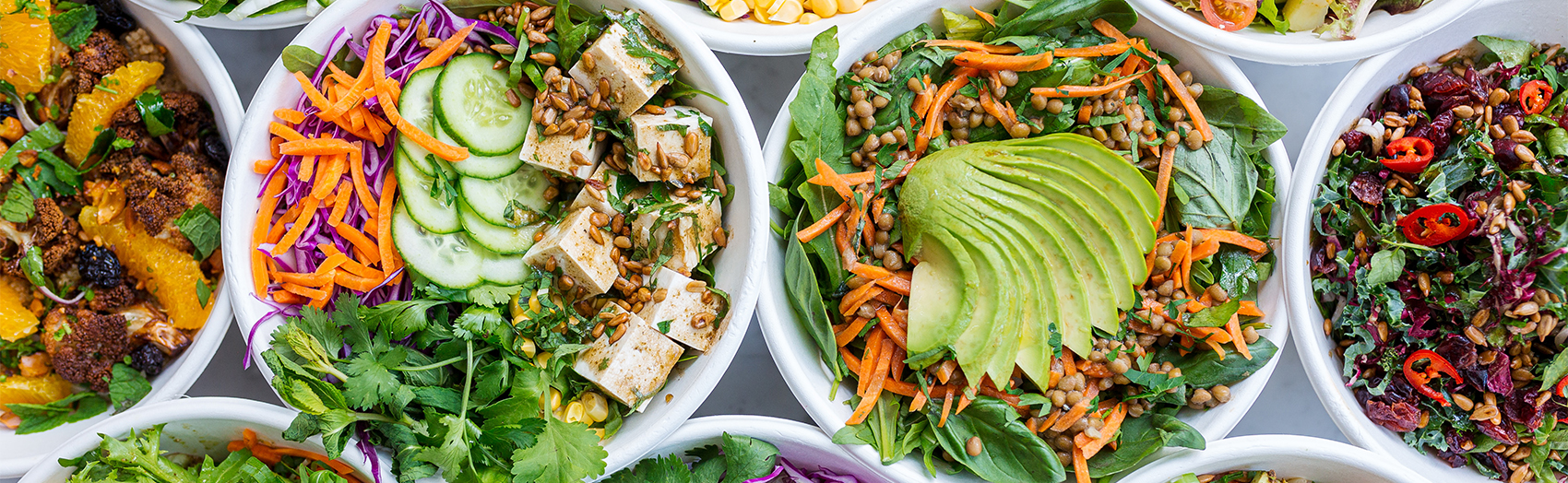 7 Vegetarian/Vegan Restaurants to Try in Waterloo Region Explore