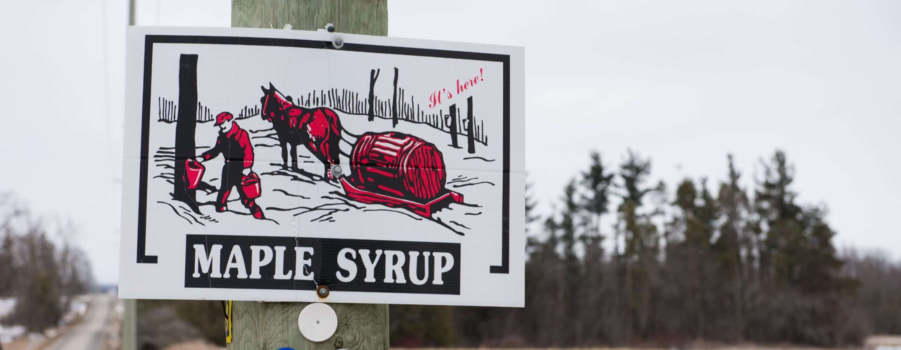 Festivals - Explore Waterloo Region