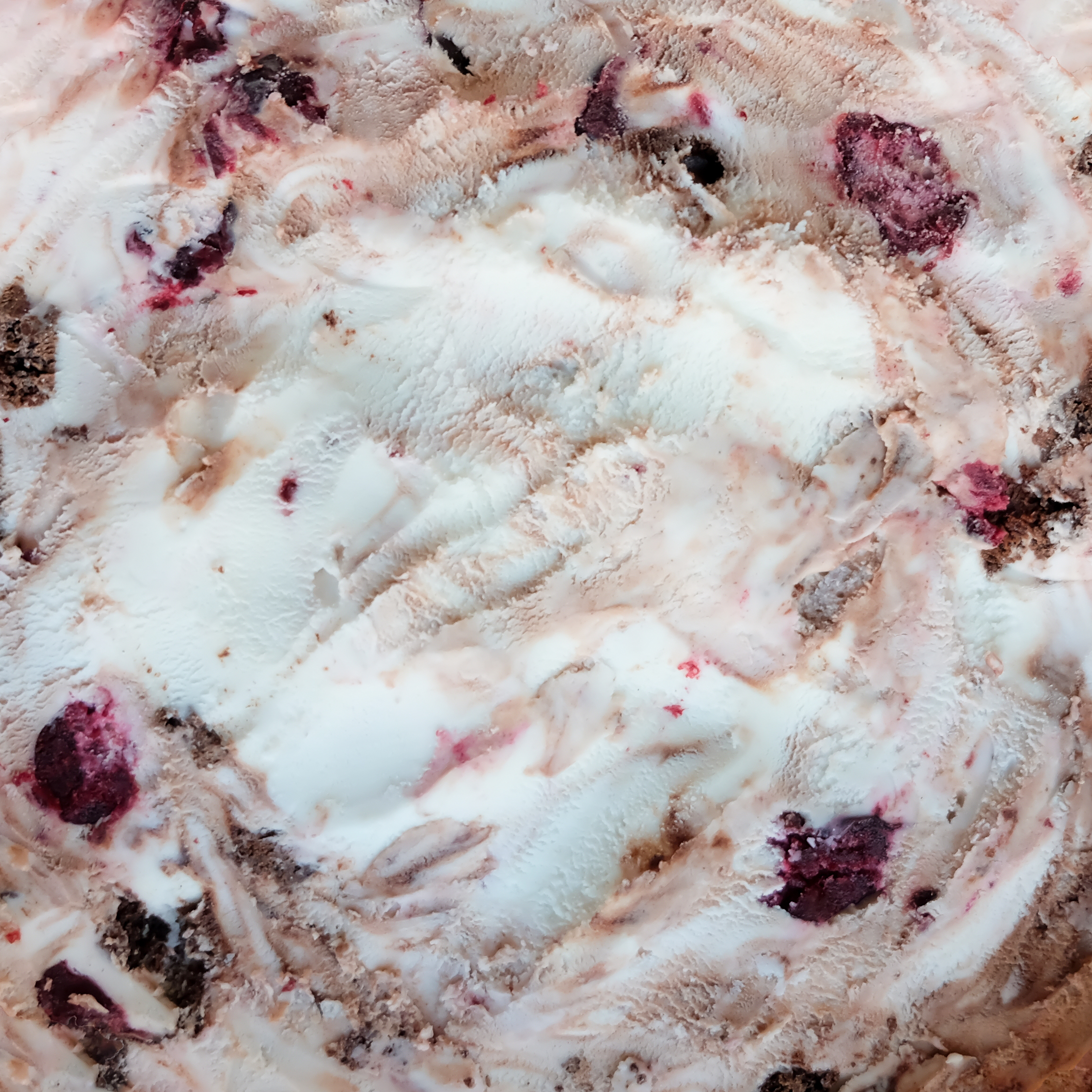 A bowl full of Four All Ice Cream's Black Forest Cake ice cream.