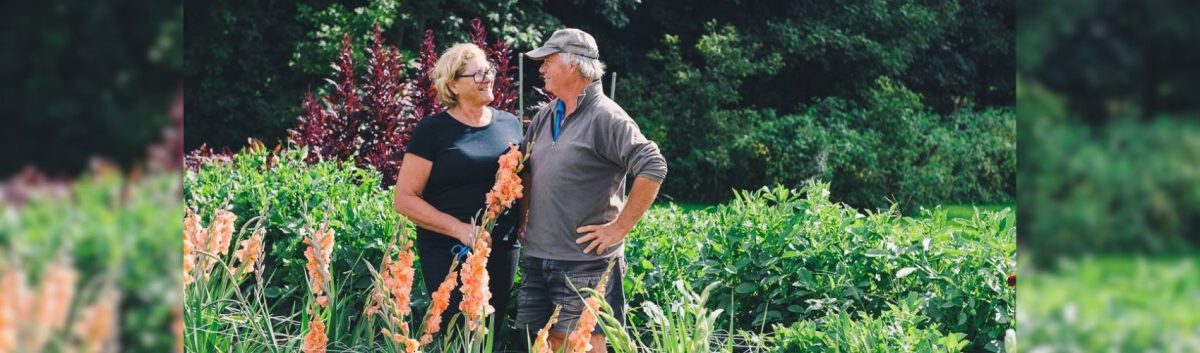A couple standing in a flower fields in the summer. There are various coloured flowers around them.