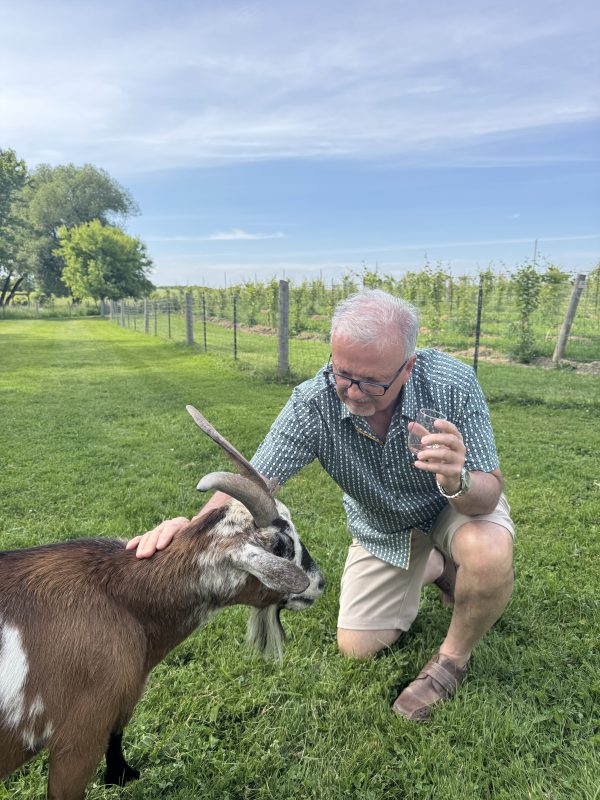 A gentleman in kneeling and petting a goat in a field, while holding a beverage. It is a sunny summer's day.