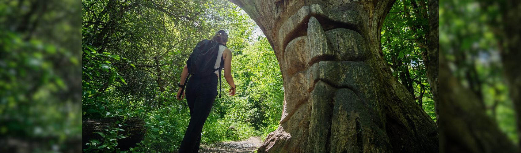 A person is hiking past the Wise Old Oak tree on the Health Valley Trail in Waterloo Region. The Wise Old Oak is a very large oak tree that has the details of a face carved into the trunk.