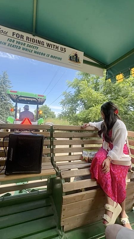 A guest sitting at the front of a covered wagon and taking a scenic trip through the countryside of St. Jacobs. 