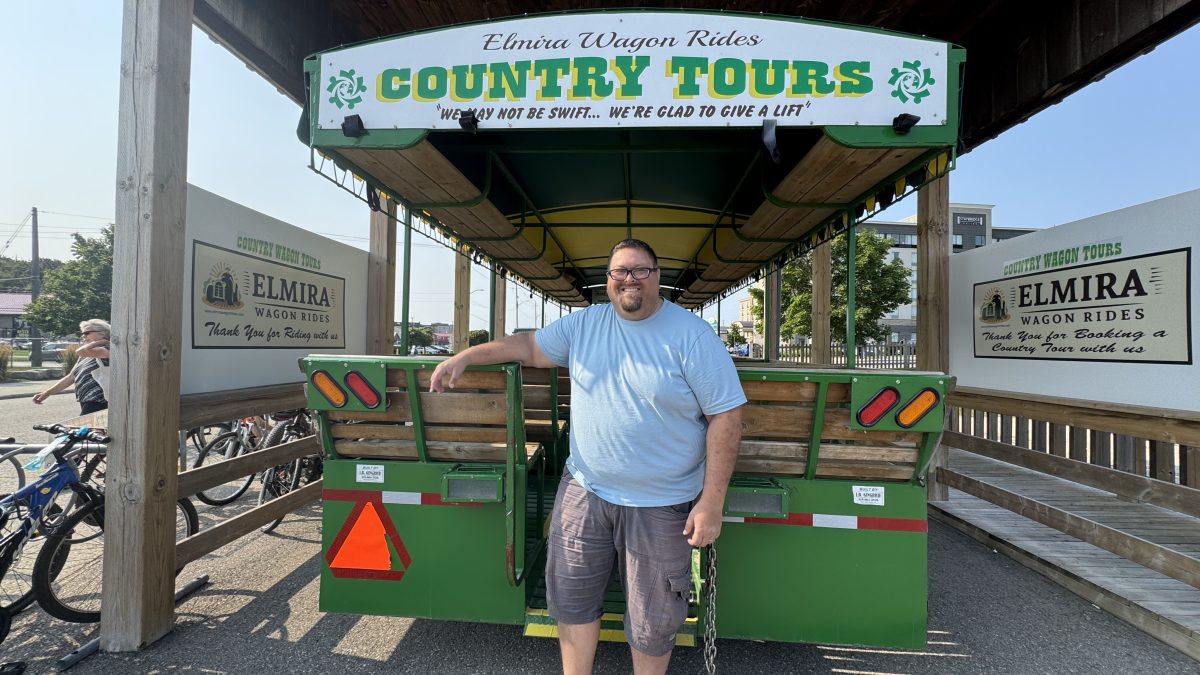 A man standing on the back of a green, covered wagon that has a sign on the covered top of the wagon that say Elmira Wagon Rides Country Tours