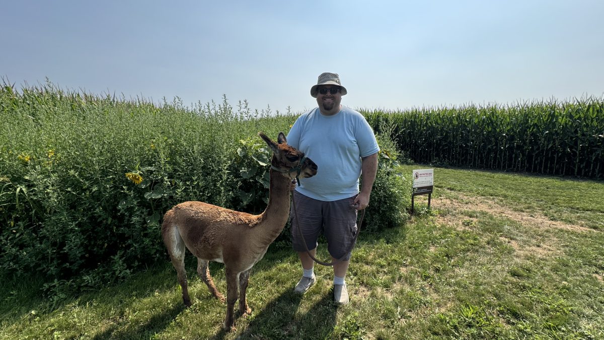 A man holding the lead of an alpaca and smiling for the camera at Udderly Ridiculous Farm Life.