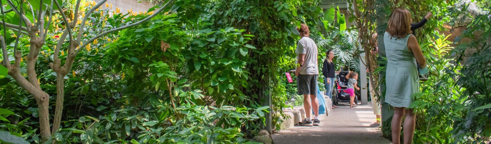 Explore, Play, and Stay: March Break Experiences for Families in Waterloo Region