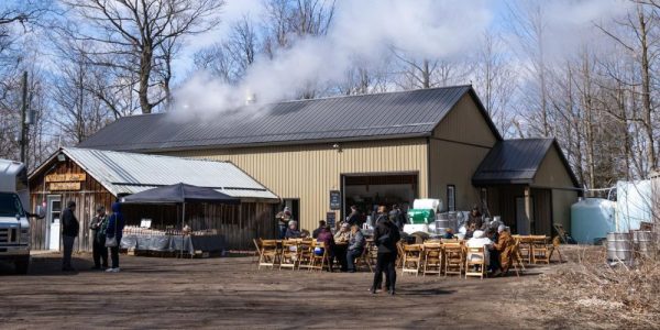 The outside view of Winding Road Maple Products in the sugar bush. It is late winter: there is no snow on the ground but the trees are bare and the sun is shining. A small tour bus sits out front, and there are people around the building.