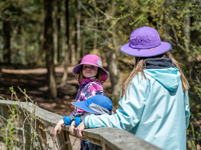 A parent and two children standing on the boardwalk over the water at Huron Natural Area in Kitchener. It is spring: there are buds starting to appear on the trees and the people are wearing spring rain gear.