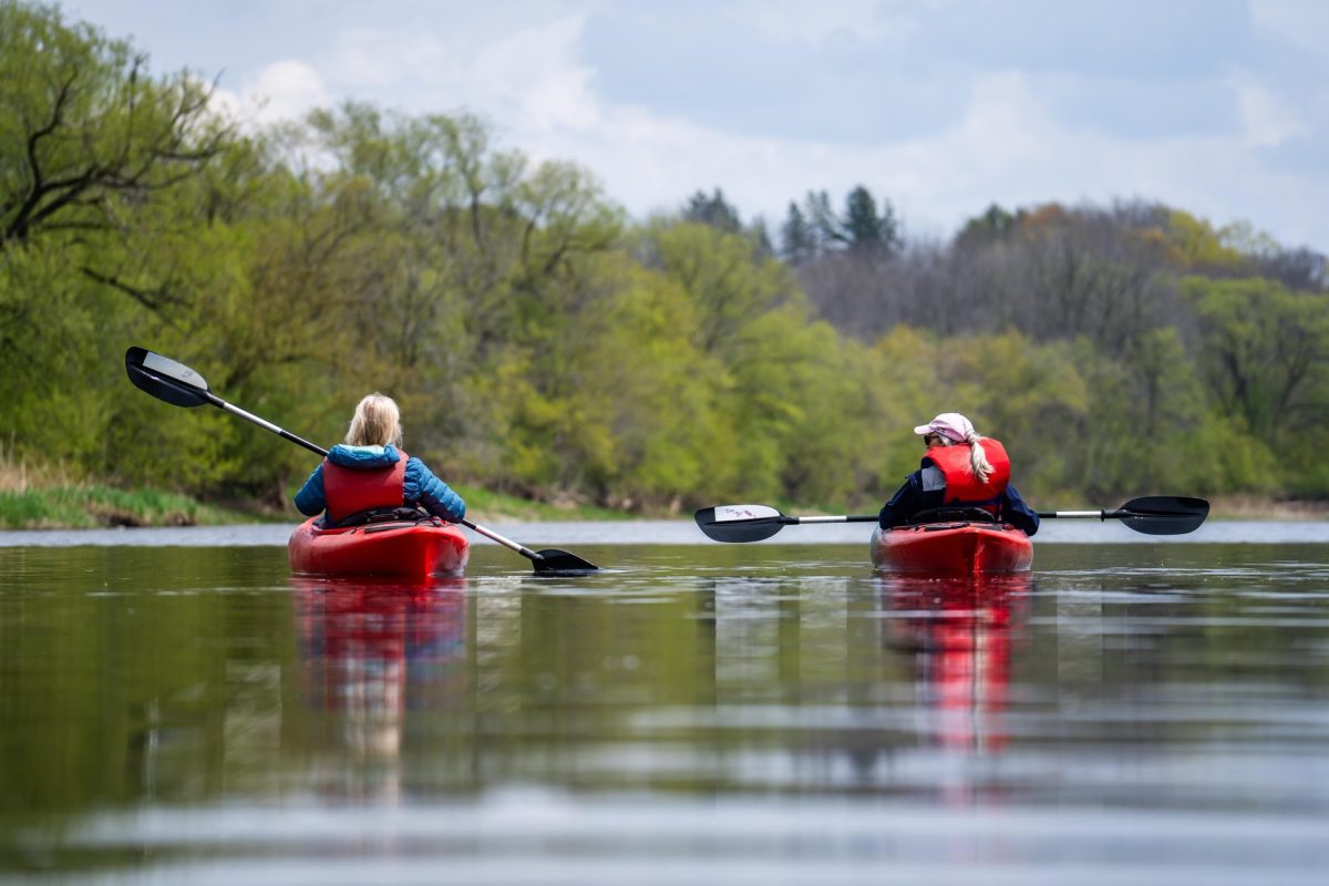 Two kayakers on the Grand River in the spring. The shoreline is filled with full grown trees whose leaves are starting to come in.