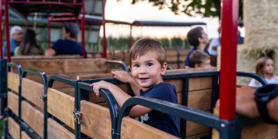 A tractor pulling wagons around the grounds at Shuh Orchards in Woolwich Township. It is summer: there is a child sitting in the wagon, looking out and smiling. 