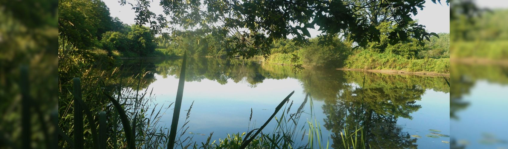 Explore Waterloo Region’s ‘Alternate Route’ this Summer