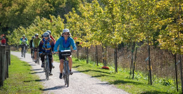 a group of cyclists biking single file on a paved trail in Waterloo: the sun is shining and the trees along the trail are just starting to change colour