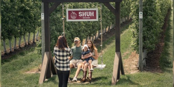 Two adults and a child sitting on a large wooden swing that is suspended from a wooden archway that leads into a row of apple trees at Shuh Orchards. The family is smiling as a photographer takes their picture. There is a sign above the swing that reads Shuh Orchards. It appears to be a sunny summer's day.