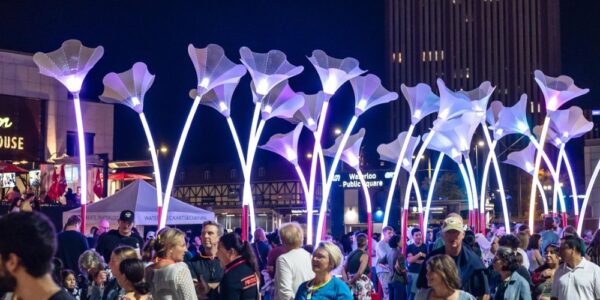 A large crowd of people walking through an illuminated display in Waterloo Square at night, that is part of the annual Lumen Festival in Uptown Waterloo.