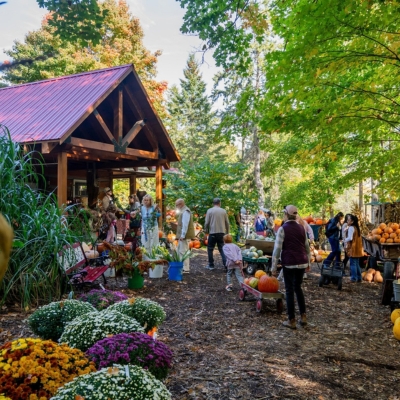 Visitors walking around the outdoor grounds at Fall Harvest Farm in Wellesley. There are displays of pumpkins, fall mums, and other fall and Halloween decorations on the property. You can also see the entrance to the on-farm country market store.